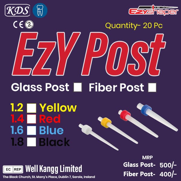 Ezy Post (Glass Fiber Post)-pack of 20