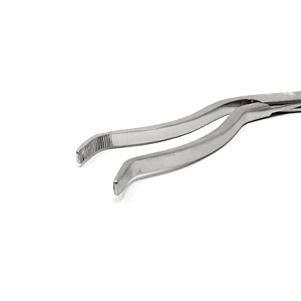 Cheatle Forceps 27cm